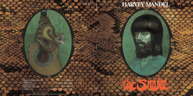 Harvey Mandel & seu legado no Snake Box