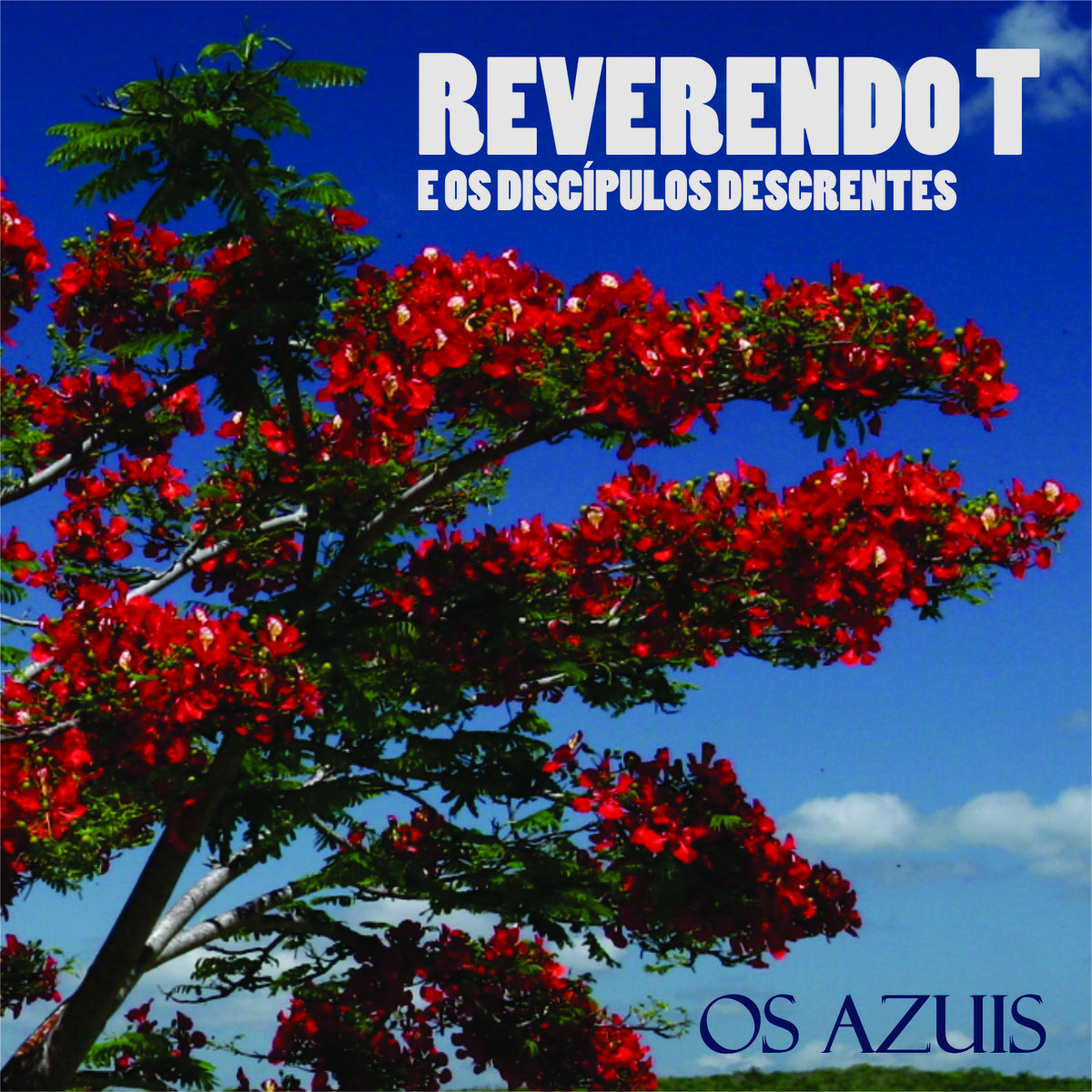 Reverendo T & Os Discípulos Descrentes – Os Azuis (2018) Os melhores Sermões!
