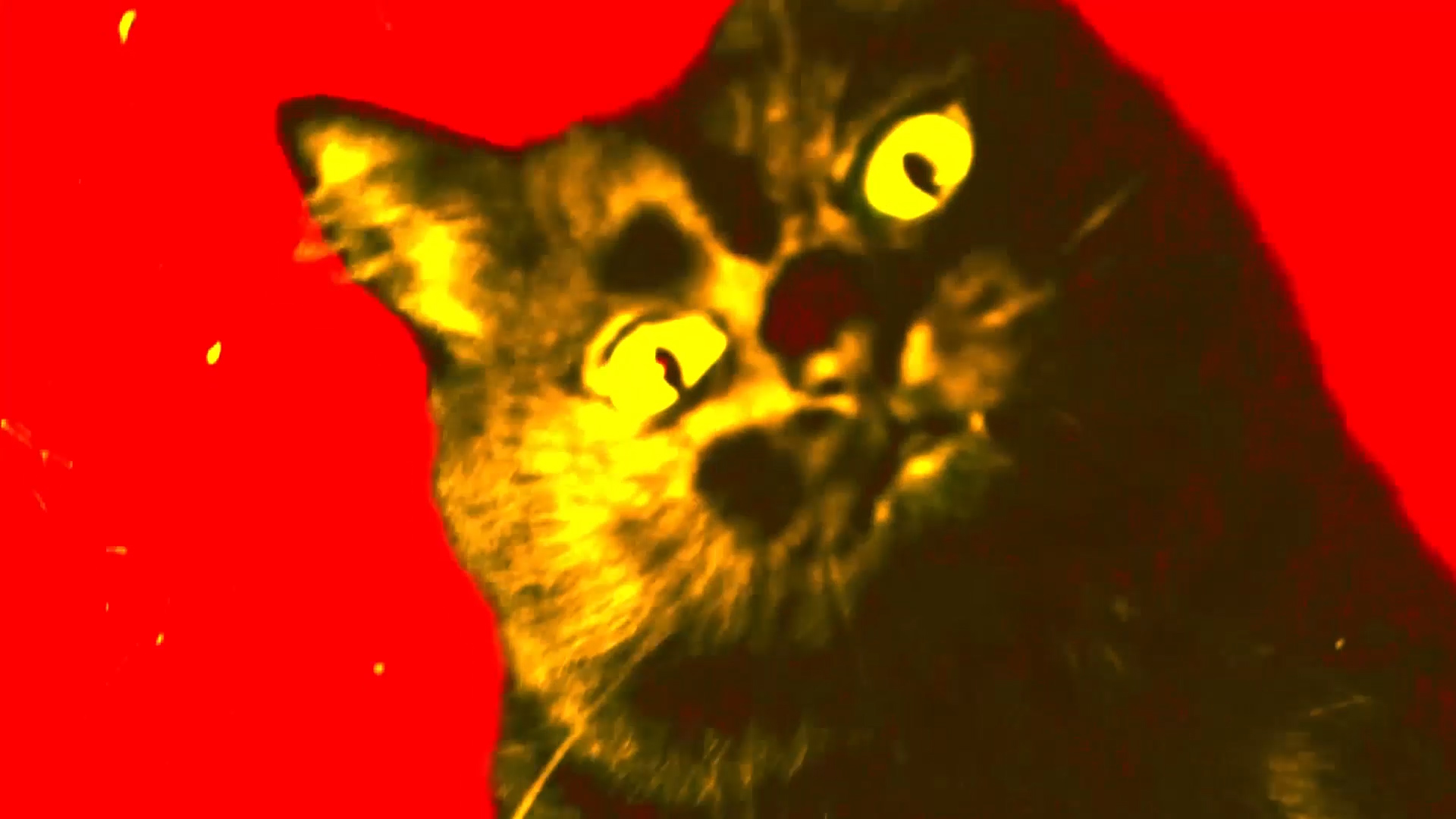 Jornada Da Vilã (2019) uma Beattape em audiovisual