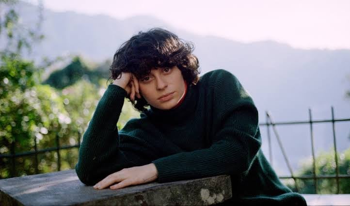 Ana Frango Eletrico Mulher Homem Bicho Planta Baby