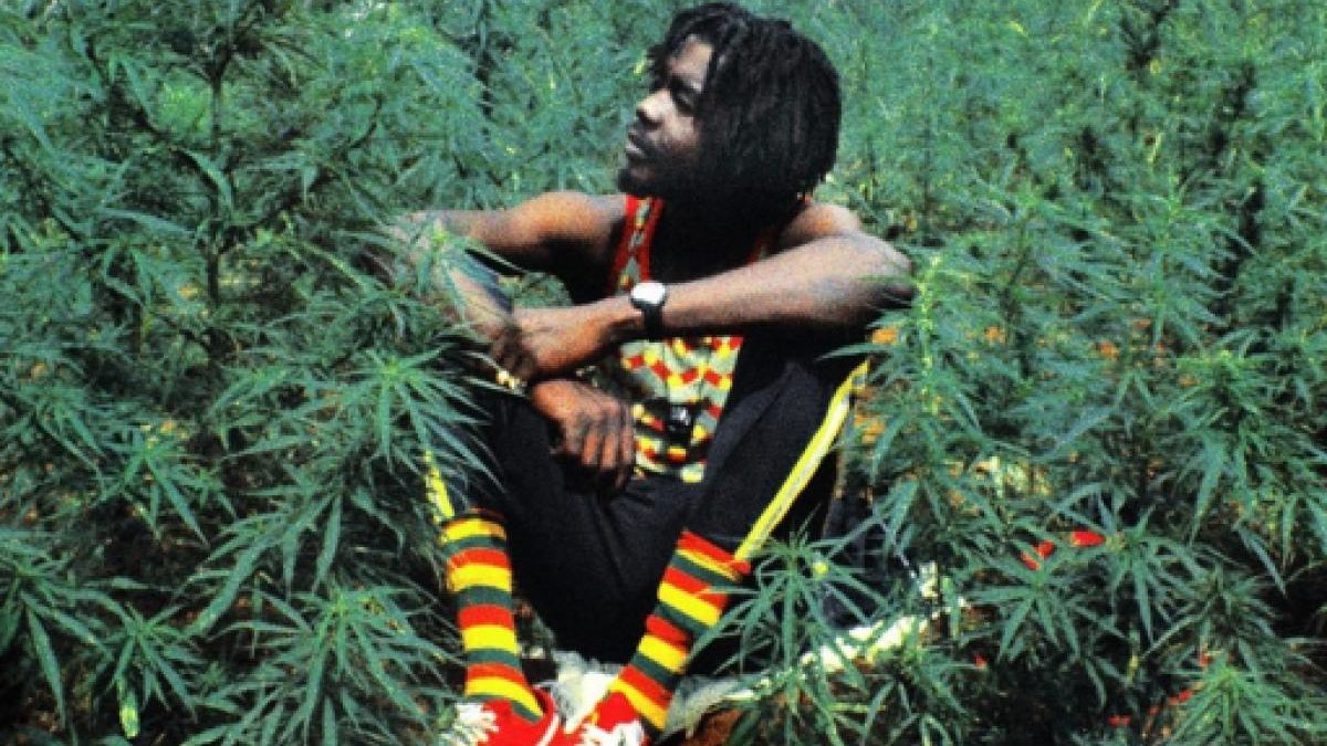 Reggae na Bahia, Rastafári não é rastaflower!