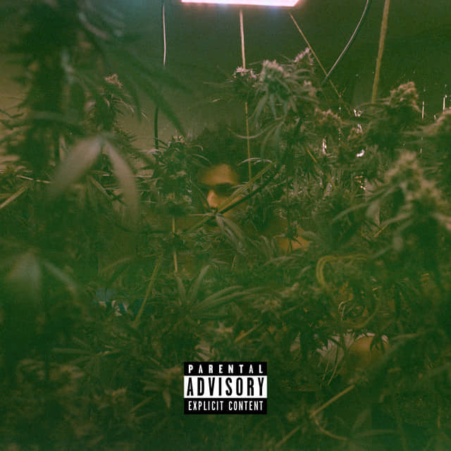 Davzera chapa o ouvinte com sua Cozinha Marginal e além!