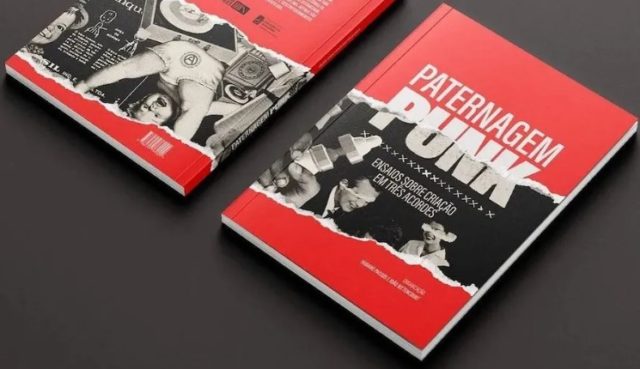 Paternagem Punk: ensaios sobre criação em três acordes