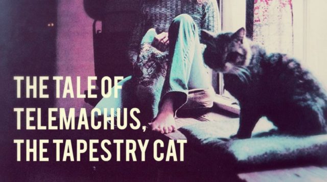 5 discos para escutar com seu gatuno