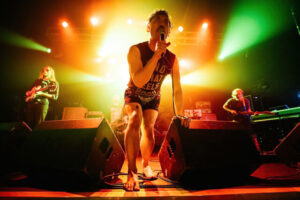 Pigs Pigs Pigs Pigs Pigs Pigs Pigs