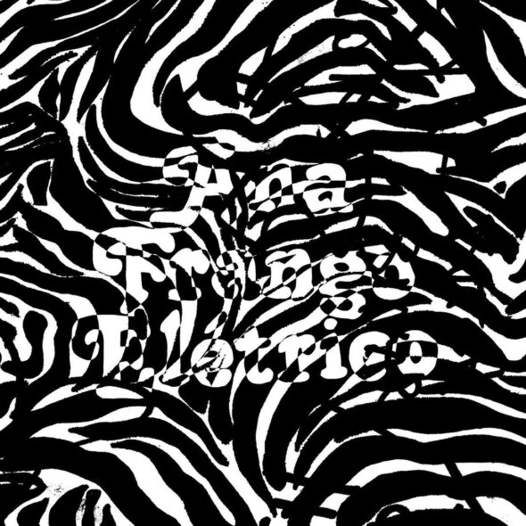 Ana Frango Elétrico 