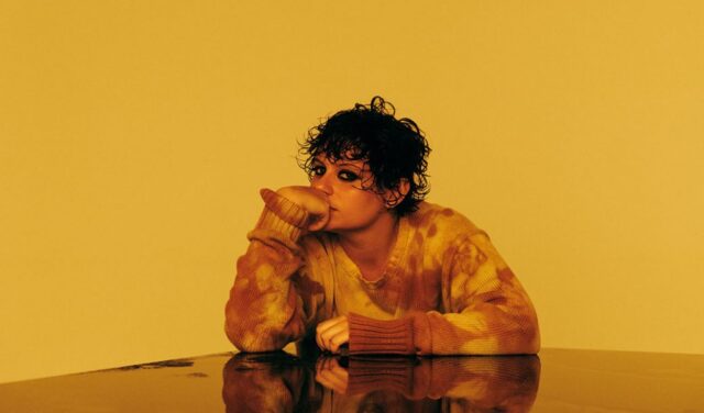 Ana Frango Elétrico 